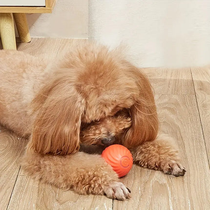 Self-Rolling Chew Ball